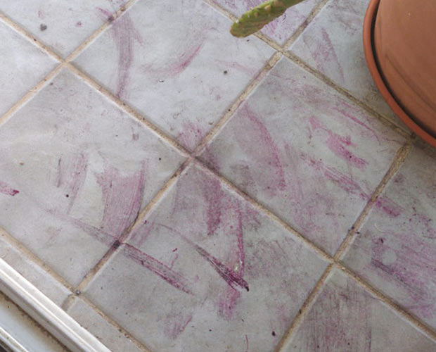 Tinte carmín de cochinilla